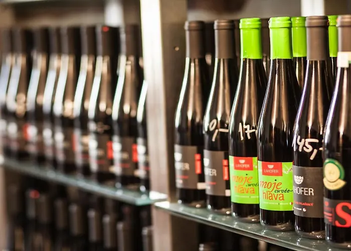 Lahofer Hotel Znojmo